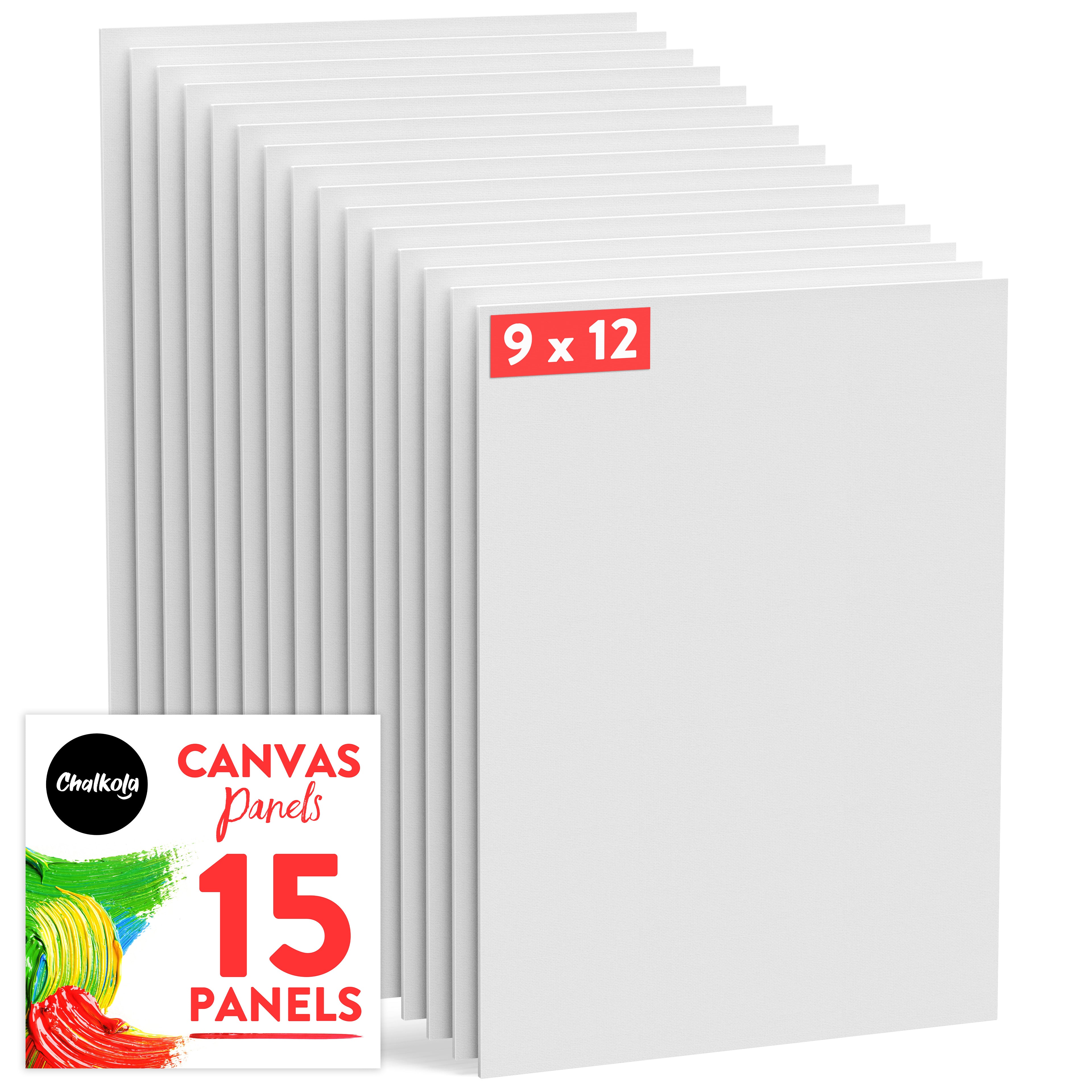Large Canvas Panel Multi-Pack - 9 x 12 , 11 x 14 , 12 x 16 , 16 x 20 - 24  Panels, Large Canvas Set - Ralphs